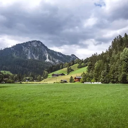Amanda-elise Domek alpejski Wald im Pinzgau